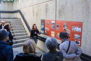 Imatge de Torre Llauder