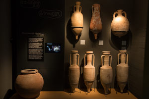 part de la col·lecció del museu