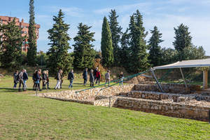 Imatge de Torre Llauder